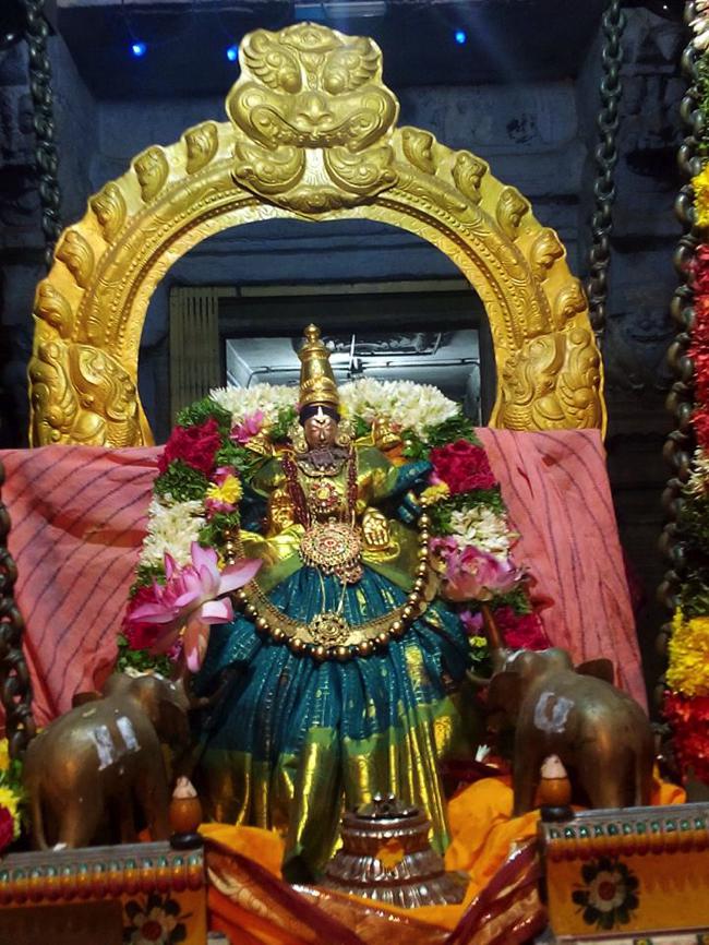 Thirupullani-Sri-Padmasini-Thayar.3