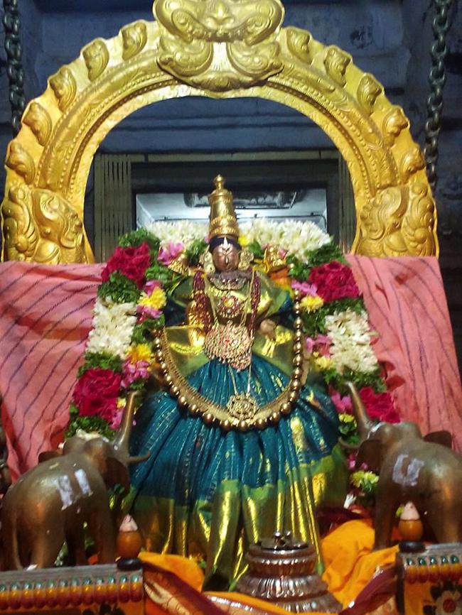 Thirupullani-Sri-Padmasini-Thayar.4