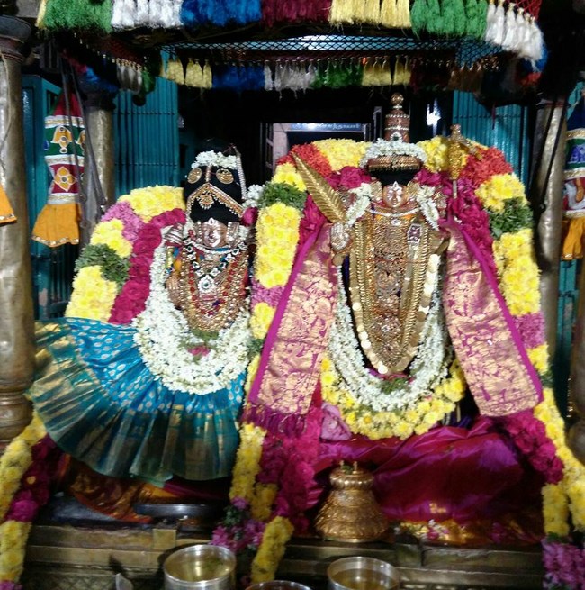 Thiruvahindrapuram Sri Devanathan Perumal Temple Manmadha Varusha Navarathiri Utsavam6