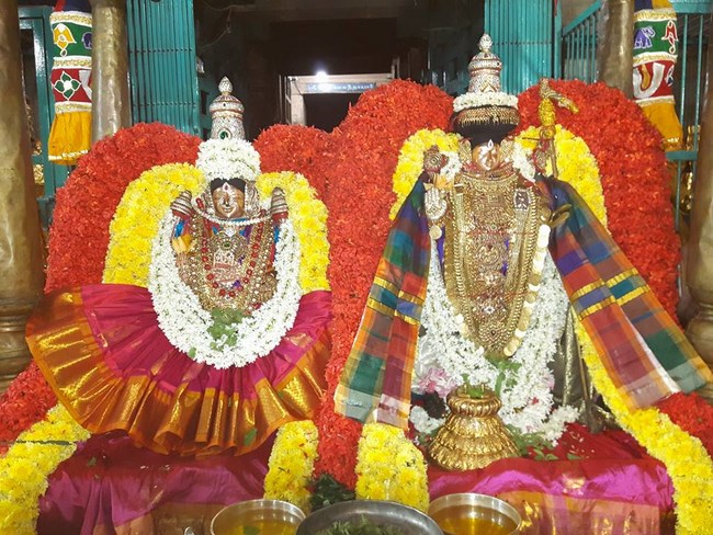 Thiruvahindrapuram Sri Devanathan Perumal Temple Manmadha Varusha Navarathiri Utsavam6