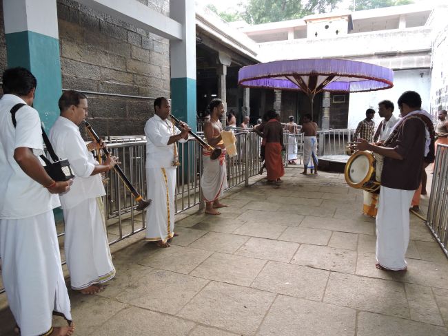 Thiruvahindrapuram Swami Desikan Thirunakshatra Utsavam  Day 8 Morning2015-01.jpg