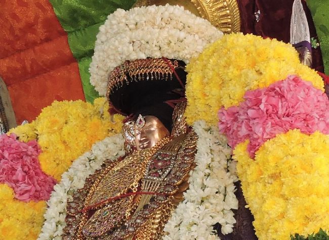 Thiruvahindrapuram Swami Desikan Thirunakshatra Utsavam  Day 8 Morning2015-09.jpg