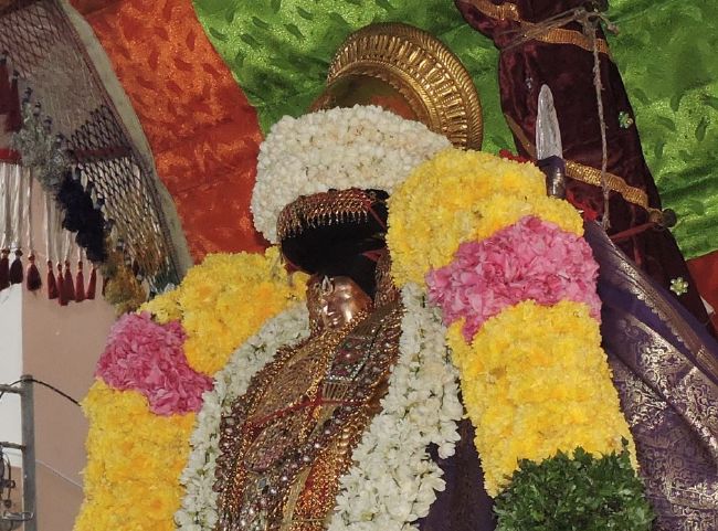 Thiruvahindrapuram Swami Desikan Thirunakshatra Utsavam  Day 8 Morning2015-11.jpg