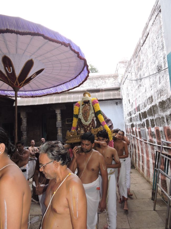 Thiruvahindrapuram Swami Desikan Thirunakshatra Utsavam  Day 8 Morning2015-14.jpg
