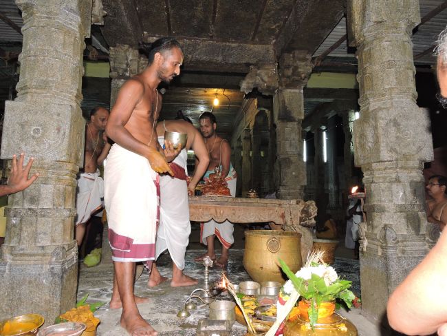 Thiruvahindrapuram Swami Desikan Thirunakshatra Utsavam  Theerthavari 2015-03.jpg