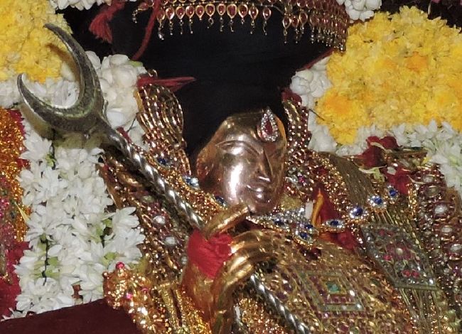 Thiruvahindrapuram Swami Desikan Thirunakshatra Utsavam day 7 evening  Purappadu 2015-01.jpg