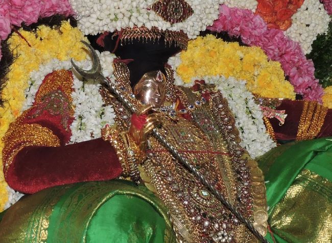 Thiruvahindrapuram Swami Desikan Thirunakshatra Utsavam day 7 evening  Purappadu 2015-05.jpg