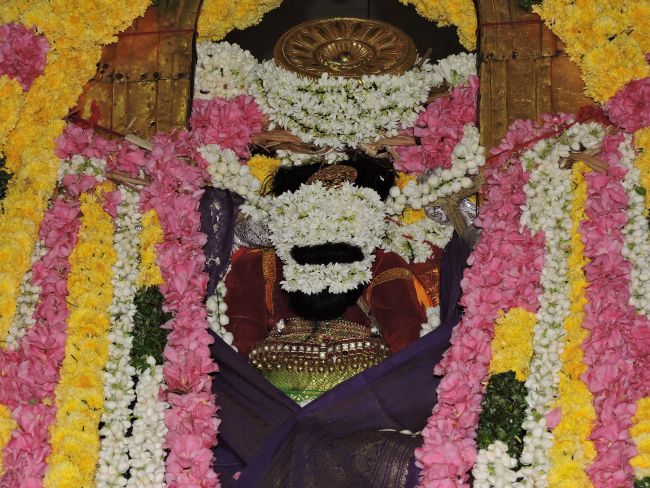 Thiruvahindrapuram Swami Desikan Thirunakshatra Utsavam day 7 evening  Purappadu 2015-06.jpg