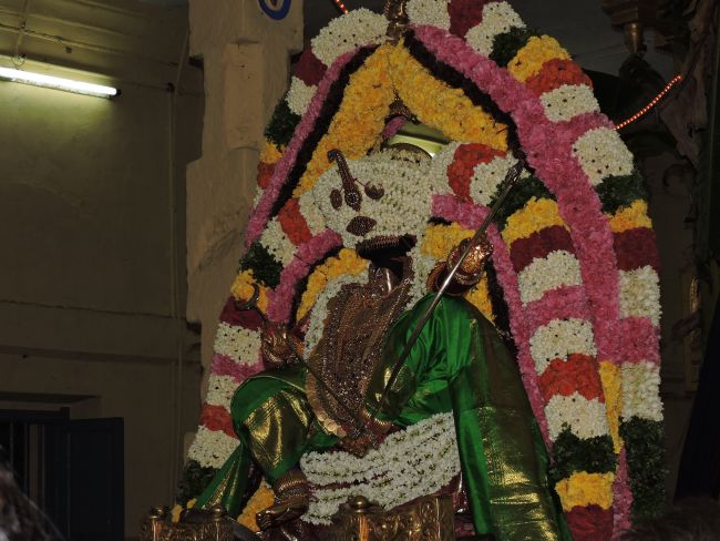 Thiruvahindrapuram Swami Desikan Thirunakshatra Utsavam day 7 evening  Purappadu 2015-29.jpg