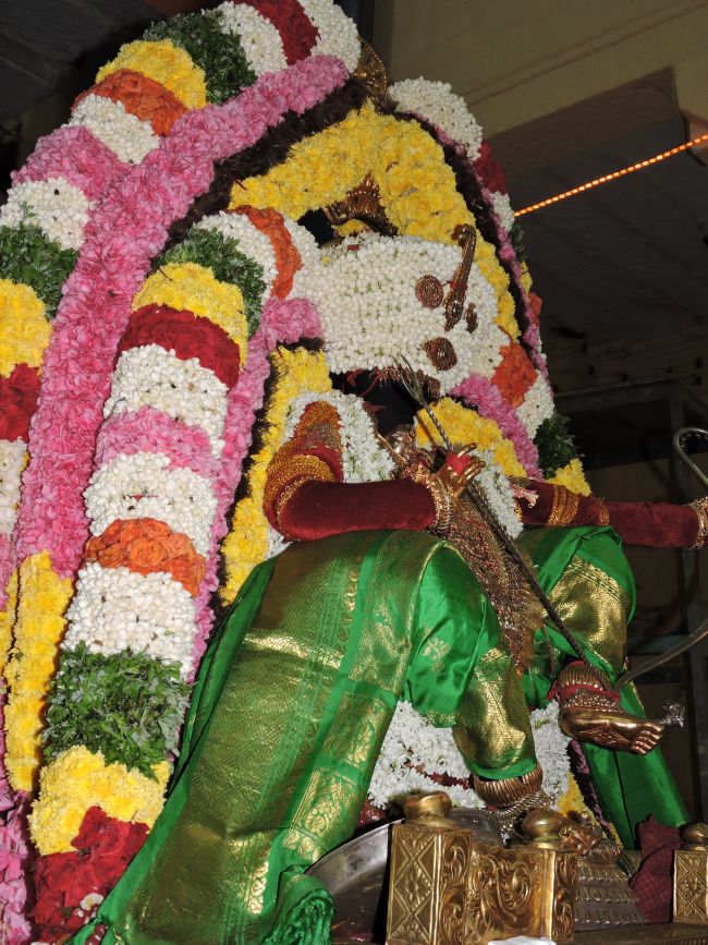 Thiruvahindrapuram Swami Desikan Thirunakshatra Utsavam day 7 evening  Purappadu 2015-34.jpg