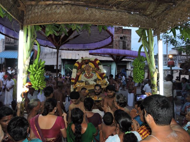 Thiruvahindrapuram Swami Desikan Thirunakshatra utsavam day 9 Thiruther 2015-01.jpg