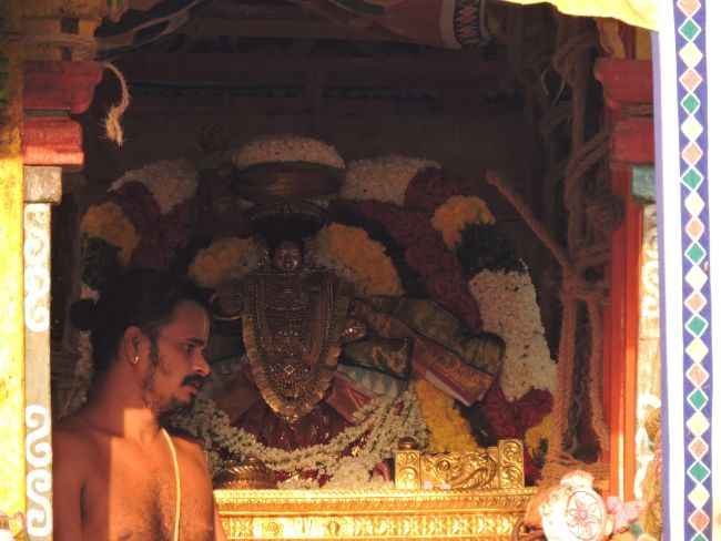 Thiruvahindrapuram Swami Desikan Thirunakshatra utsavam day 9 Thiruther 2015-14.jpg
