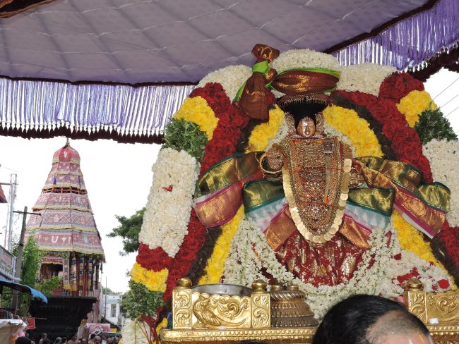 Thiruvahindrapuram Swami Desikan Thirunakshatra utsavam day 9 Thiruther 2015-46.jpg