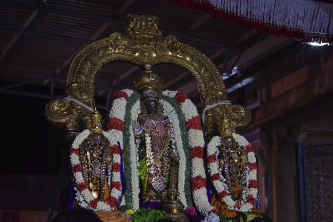 Thiruvallikeni-Sri-Parthasarathy-Swamy10