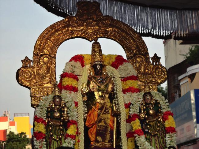 Thiruvallikeni-Sri-Parthasarathy-Swamy12