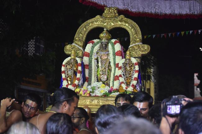 Thiruvallikeni-Sri-Parthasarathy-Swamy13
