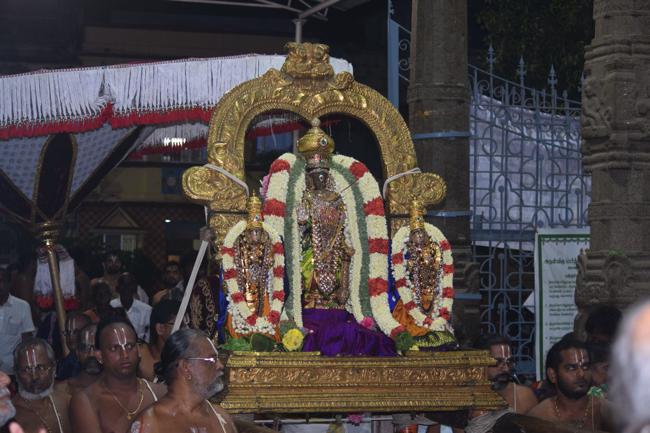 Thiruvallikeni-Sri-Parthasarathy-Swamy14