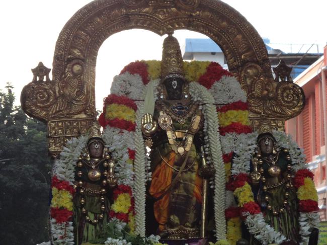 Thiruvallikeni-Sri-Parthasarathy-Swamy17