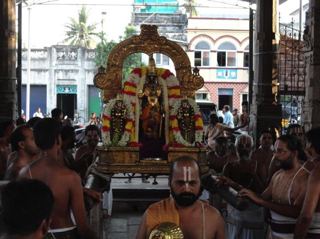 Thiruvallikeni-Sri-Parthasarathy-Swamy5