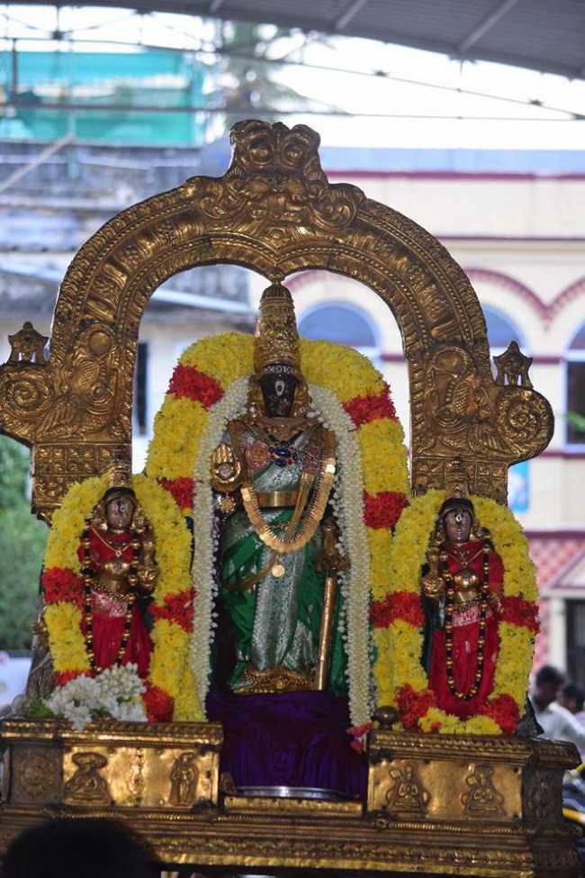 Thiruvallikeni-Sri-Parthasarathy-Swamy8