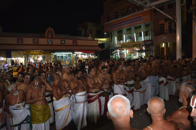 Thiruvallikeni-Sri-Parthasarathy-Swamy9