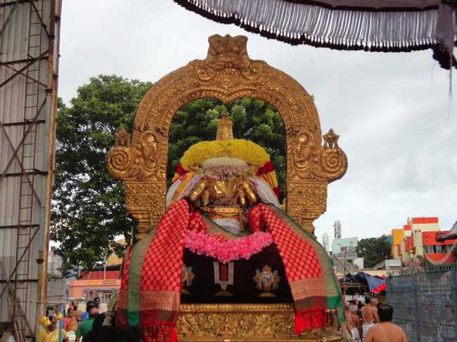 Thiruvallikeni-Sri-Parthasarathy-Swamy9