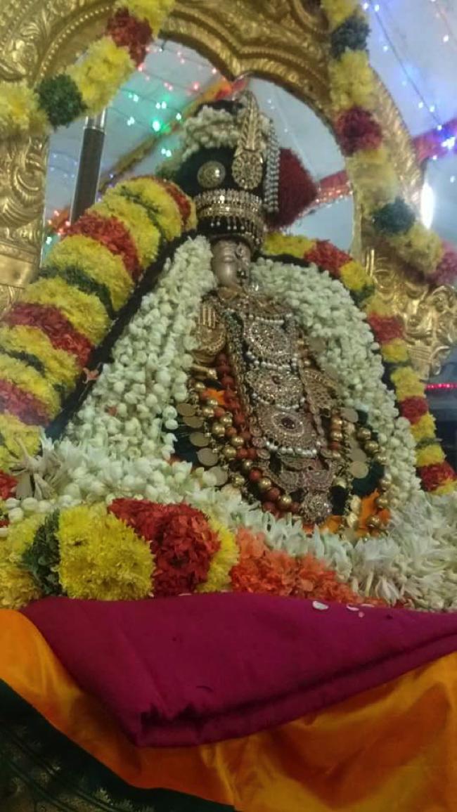 Thiruvallur-Sri-Veeraradhava-Perumal6