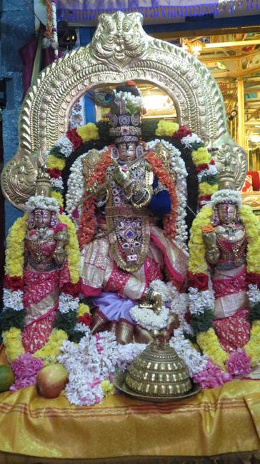 Thiruvellukai-Sri-Azhagiyasingaperumal17