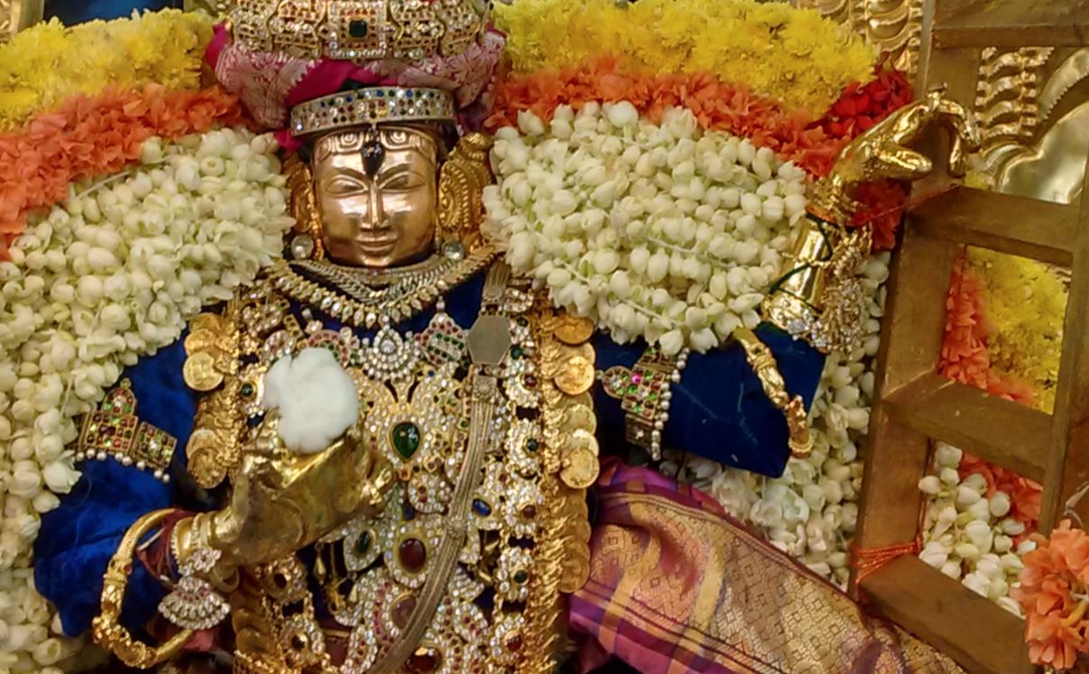 Thiruvelukkai Azhagiyasinga perumal temple navarathri utsavam day 11