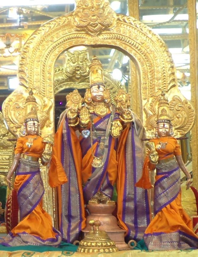 Thiruvelukkai Singaperumal Kovil Mahalaya Ammavasai Utsavam 2015-24.jpg