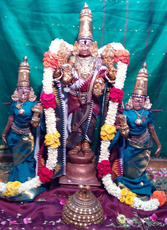 Thiruvelukkai-Sri-Amruthavalli-Thayar.2