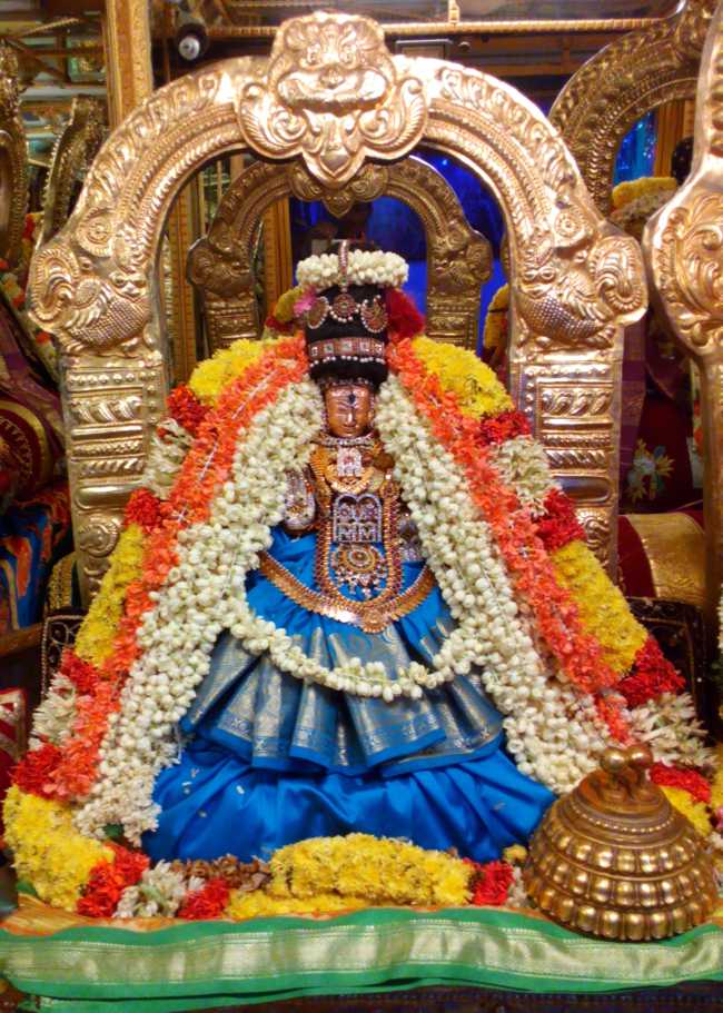 Thiruvelukkai-Sri-Amruthavalli-Thayar5
