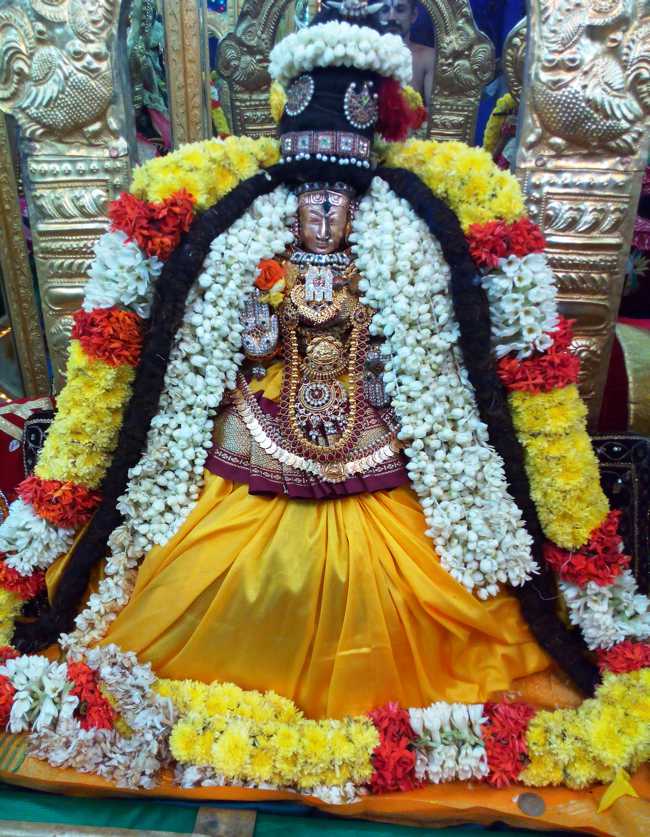 Thiruvelukkai-Sri-Amruthavalli-Thayar6