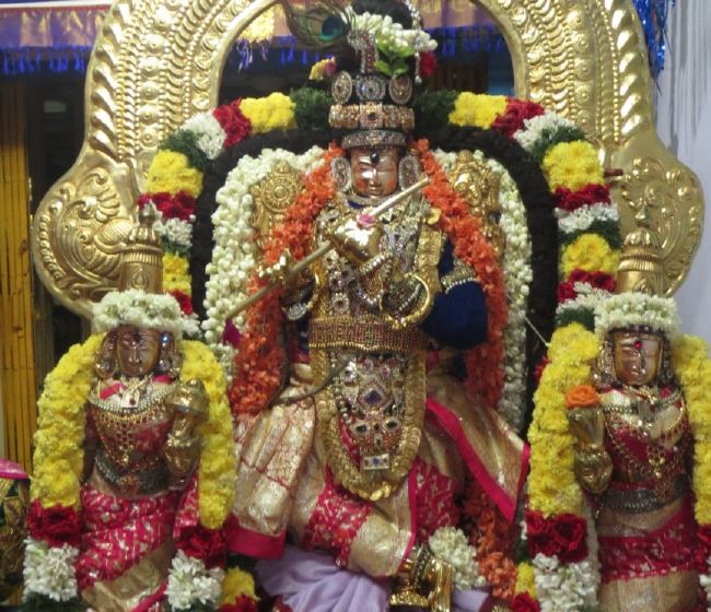 Thiruvelukkai Sri Azhagiyasingaperumal Temple Navarathri Utsavam day 8- 2015-01.jpg