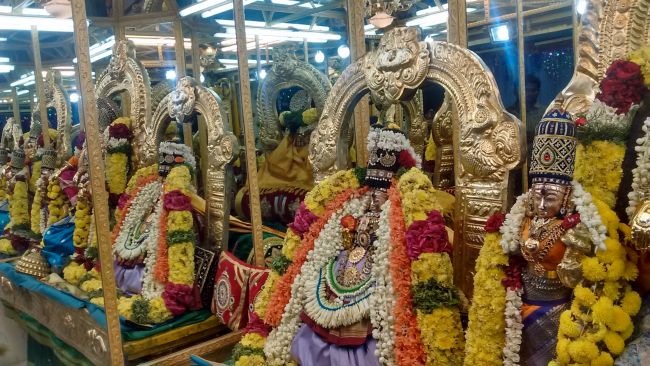 Thiruvelukkai Sri Azhagiyasingaperumal kovil navarathri utsavam day 7- 2015-06.jpg