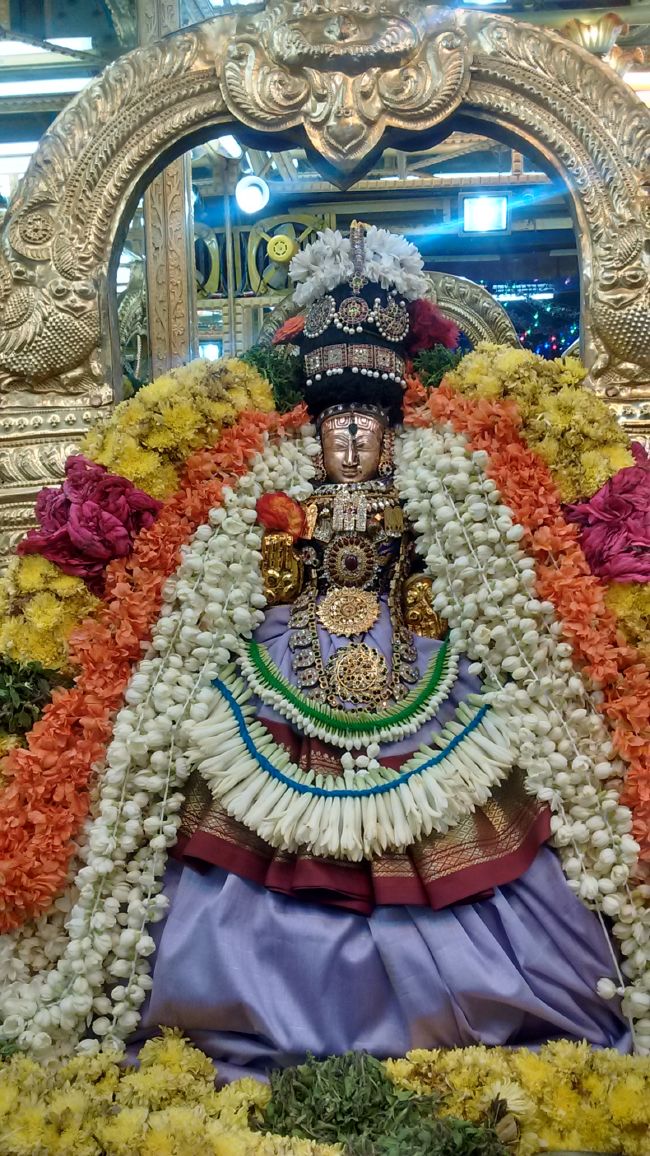 Thiruvelukkai Sri Azhagiyasingaperumal kovil navarathri utsavam day 7- 2015-09.jpg