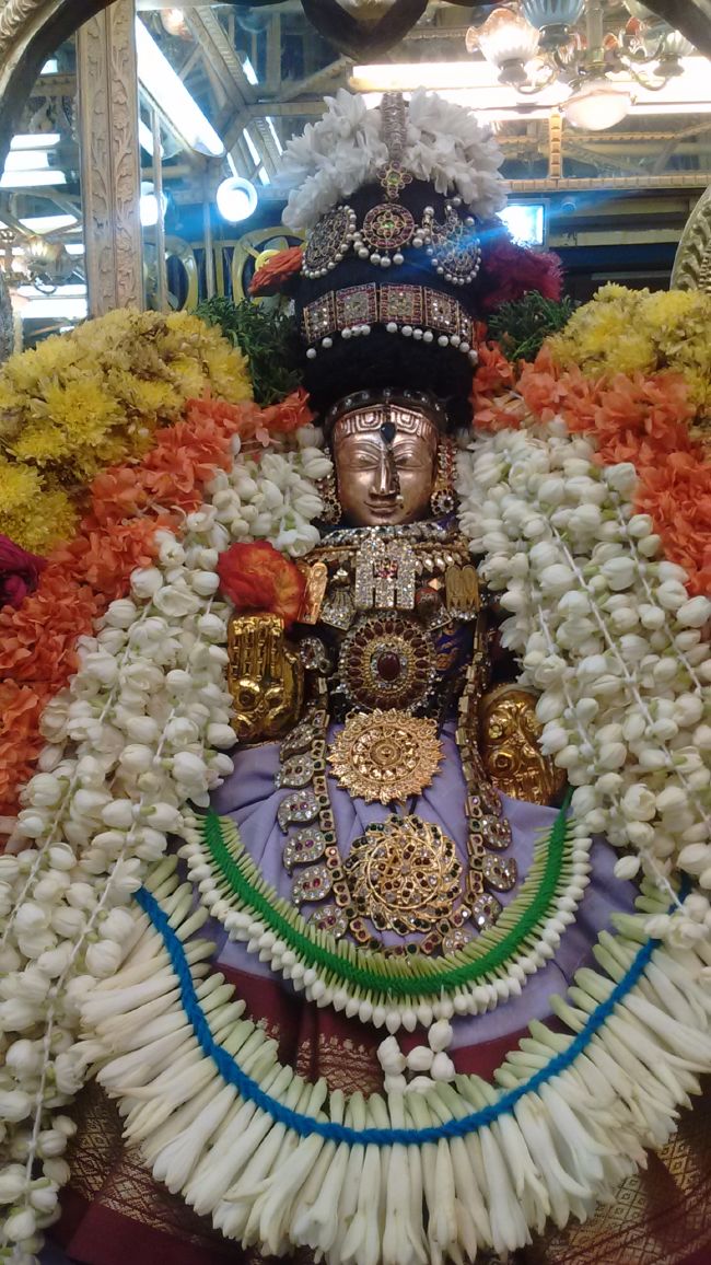 Thiruvelukkai Sri Azhagiyasingaperumal kovil navarathri utsavam day 7- 2015-10.jpg