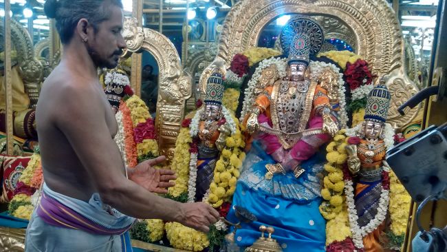 Thiruvelukkai Sri Azhagiyasingaperumal kovil navarathri utsavam day 7- 2015-16.jpg