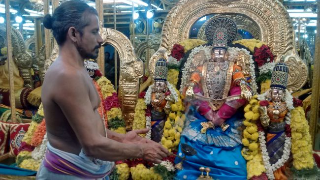 Thiruvelukkai Sri Azhagiyasingaperumal kovil navarathri utsavam day 7- 2015-17.jpg