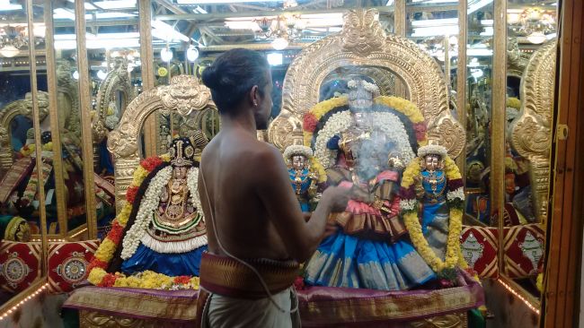 Thiruvelukkai Sri azhagiyasinga perumal kovil navarathri utsavam day 11- 2015-02.jpg
