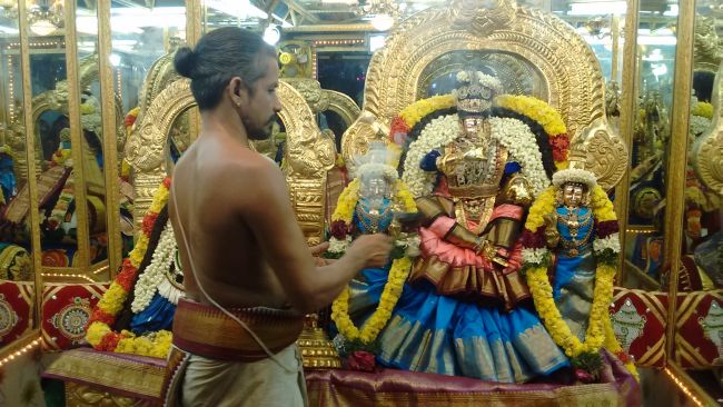 Thiruvelukkai Sri azhagiyasinga perumal kovil navarathri utsavam day 11- 2015-04.jpg