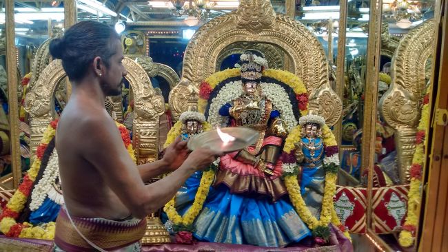 Thiruvelukkai Sri azhagiyasinga perumal kovil navarathri utsavam day 11- 2015-07.jpg