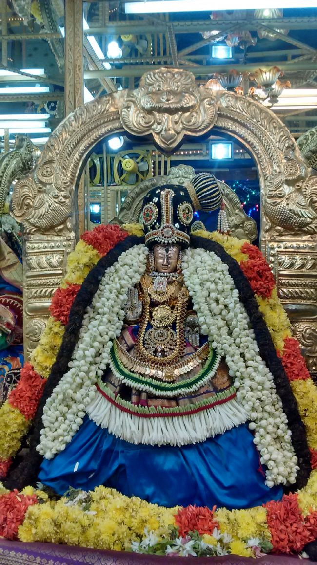 Thiruvelukkai Sri azhagiyasinga perumal kovil navarathri utsavam day 11- 2015-19.jpg