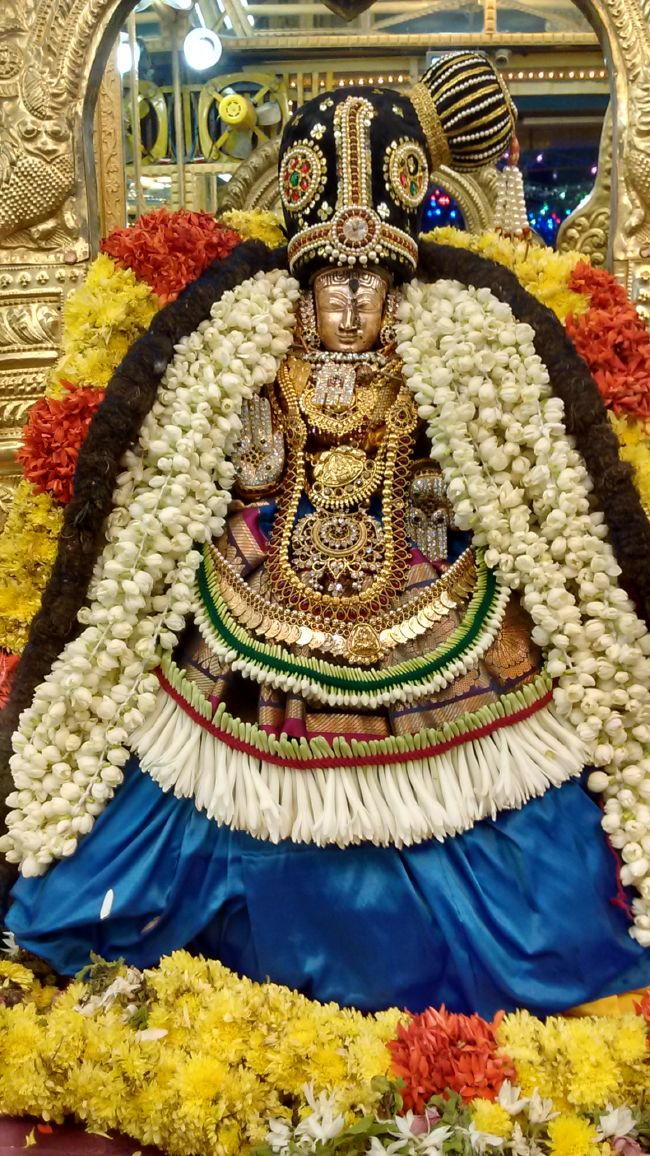 Thiruvelukkai Sri azhagiyasinga perumal kovil navarathri utsavam day 11- 2015-20.jpg