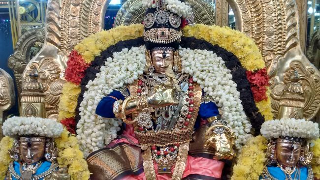 Thiruvelukkai Sri azhagiyasinga perumal kovil navarathri utsavam day 11- 2015-22.jpg