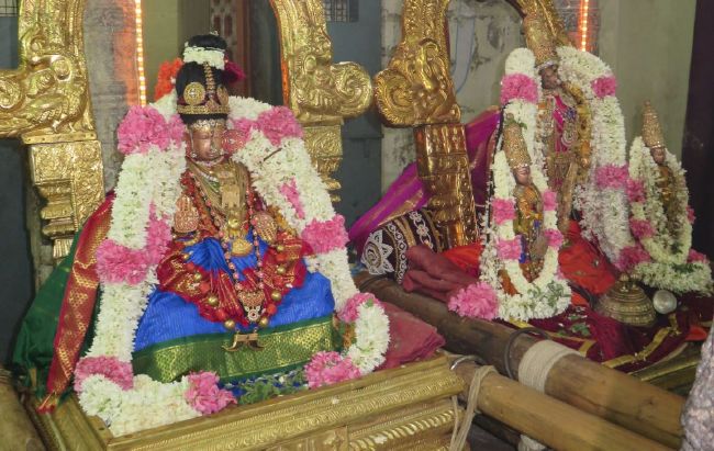 Kanchi Perumal Kovil Peyazhwar Avathara utsavam Satrumurai 2015-22.jpg