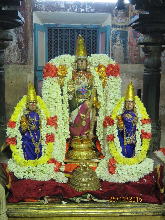 Kanchi-Sri-Varadaraja-Perumal_40
