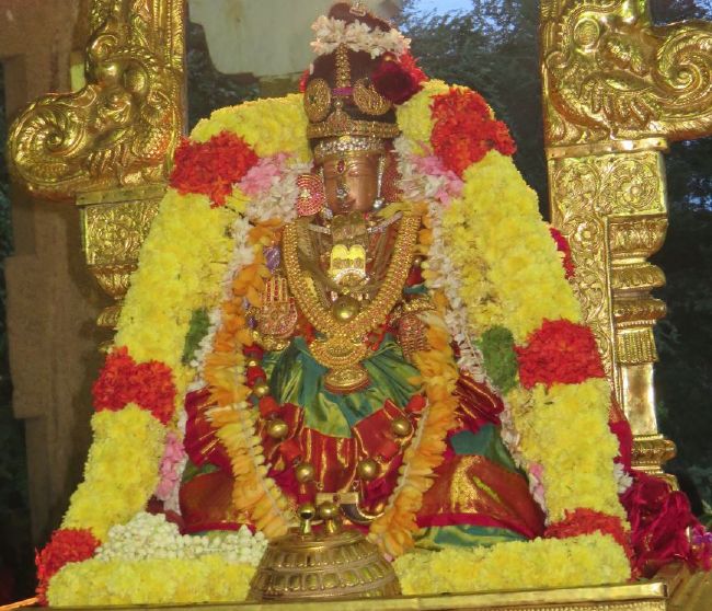 Kanchi Sri perundhevi Thayar Karthikai sukravara purappadu 2015-08.jpg