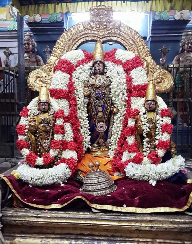Kanchipuram-Sri-Devarajaswamy_03