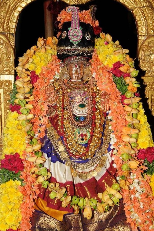 Lower Ahobilam Sri Lakshmi Narasimha Swami Temple Manmadha Varusha Navarathiri Utsavam Maha Navami11